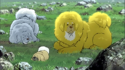 Chú Chó Tây Tạng (The Tibetan Dog)