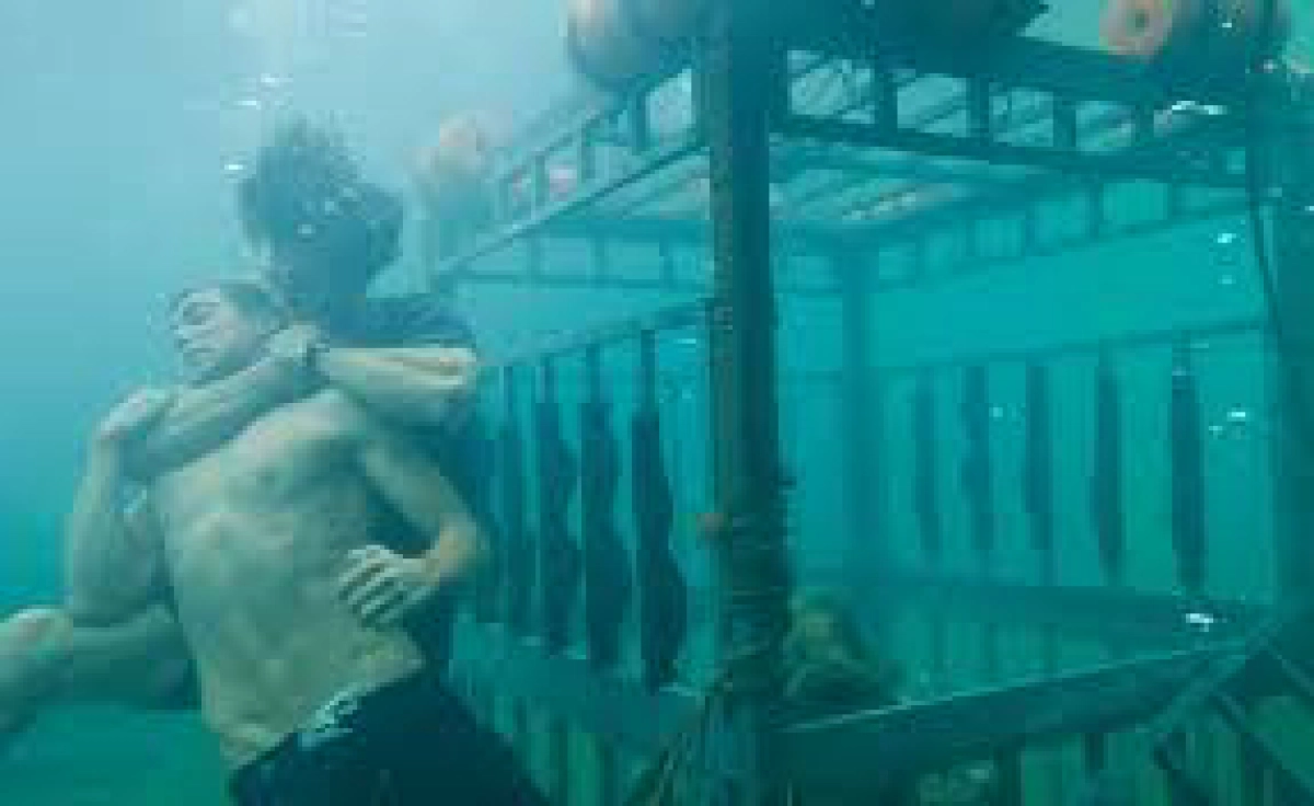 Shark Night 3D (Shark Night 3D)